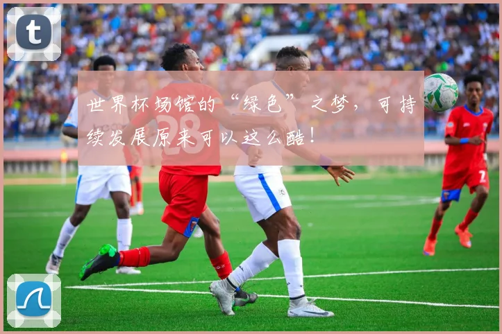 世界杯场馆的“绿色”之梦，可持续发展原来可以这么酷！