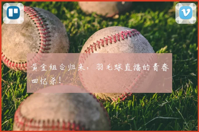黄金组合归来，羽毛球直播的青春回忆杀！