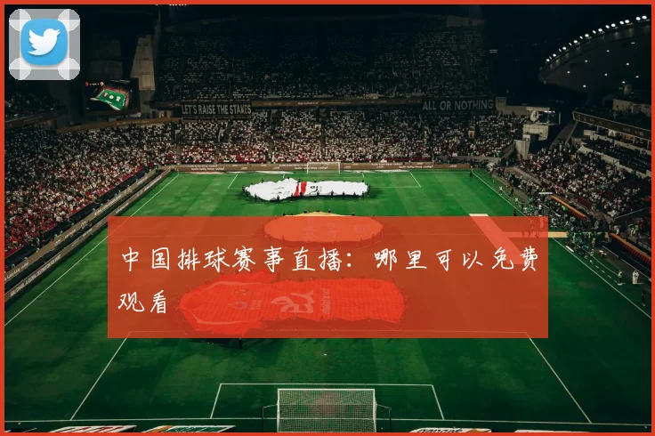 中国排球赛事直播:哪里可以免费观看