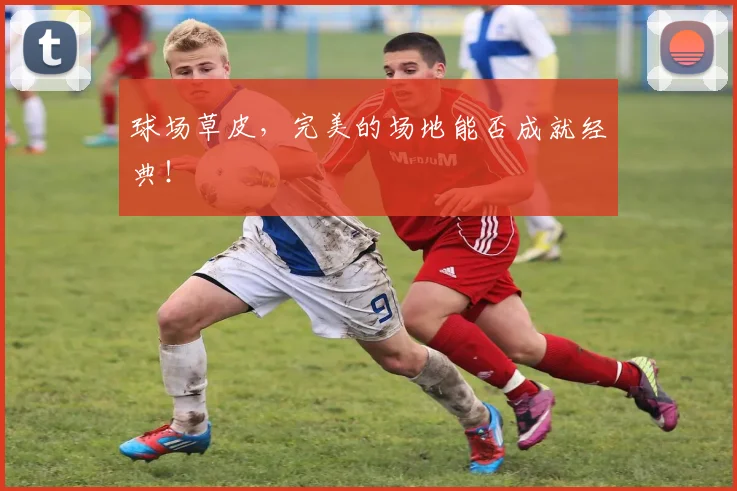 球场草皮，完美的场地能否成就经典！