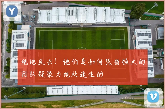 绝地反击！他们是如何凭借强大的团队凝聚力绝处逢生的